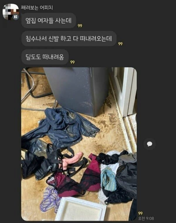 19) 침수때 옆집 여자들 사는집에서 떠내려온 물건_1.jpg