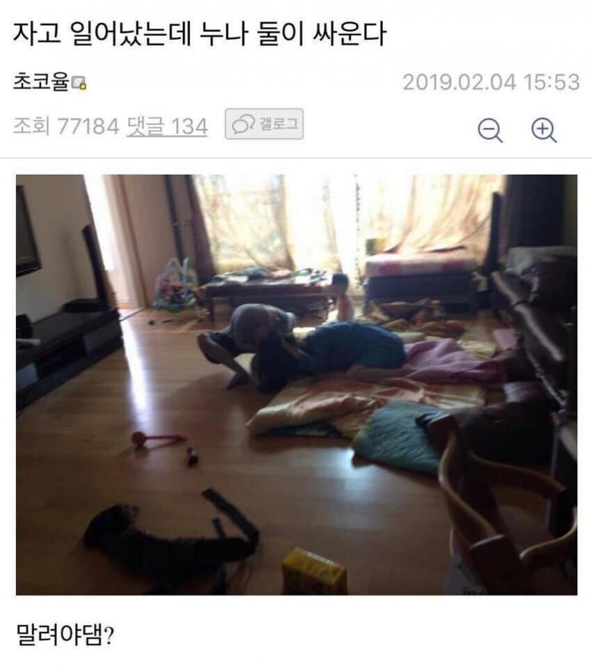 자고 일어났는 데 누나 둘이 싸운다..._1.jpg