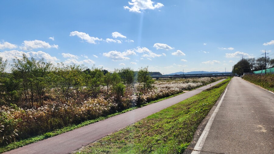 스압) 엄마가 수변공원에 갔다 오라고 하도 난리를 피우길래 갔다 왔다_2.jpg