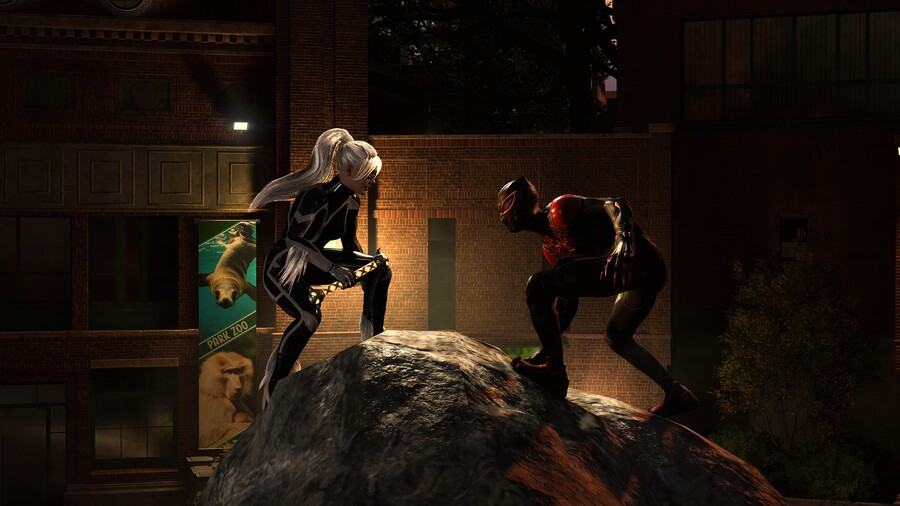 스파2 고양이vs펜서(스포일러많음)_30.jpg