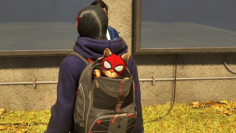 스파2 고양이vs펜서(스포일러많음)_12.jpg