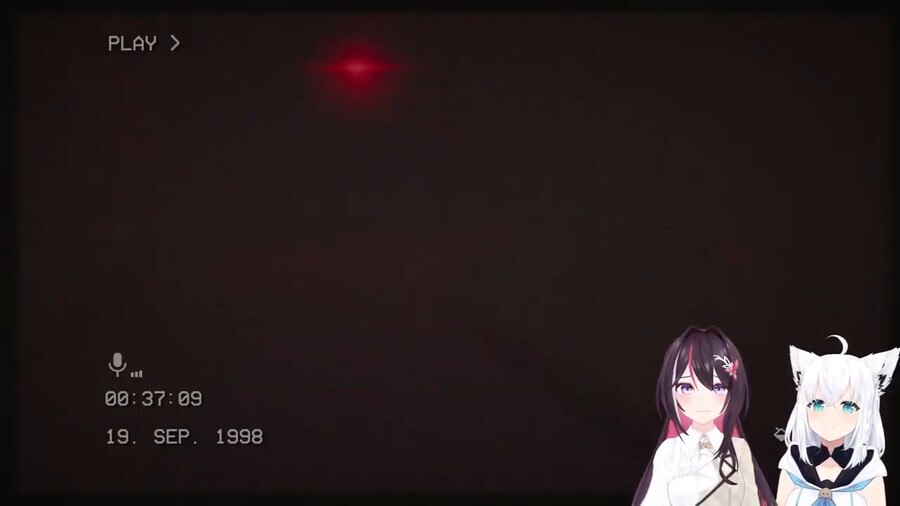 버튜버) 둘이 표정이 거의 고정이야 ㅋㅋ_1.png