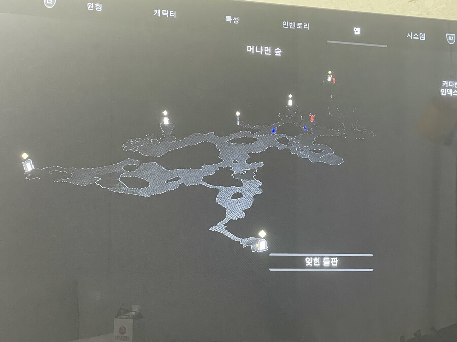 혈월 정수 파밍하려는데 불신의 수풀은 어디에 있나요_2.jpeg