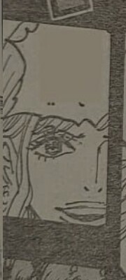 원피스)스포)뇽할멈의 새로운 사실_3.jpg