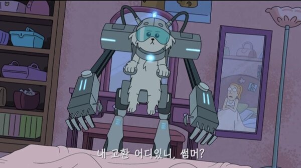 쮸인이 침울해하고 있어서 개인기하는 댕댕이_2.jpg