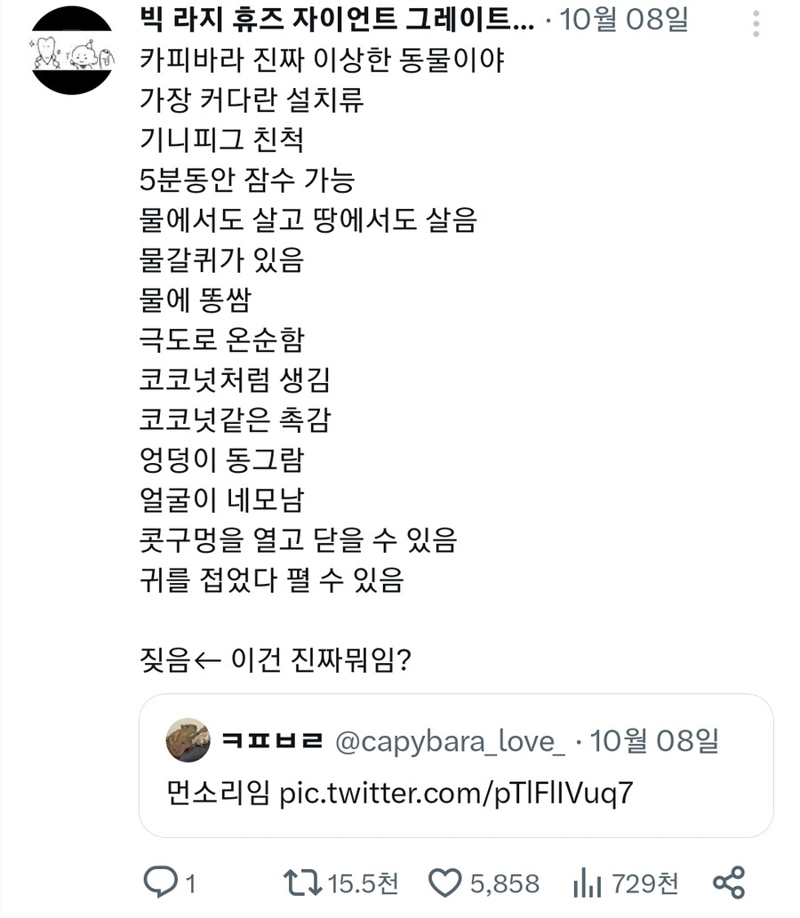 카피바라 짖는 소리.mp4_1.jpeg