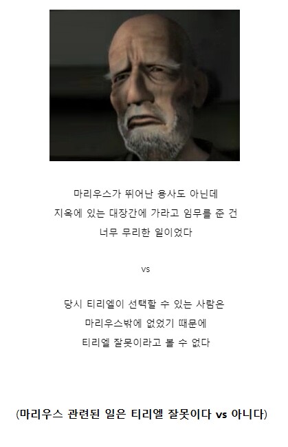 티리엘 잘못이다 vs 아니다_1.jpg