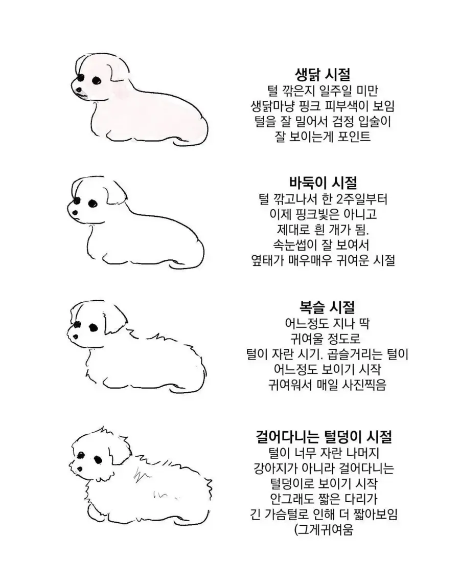 댕댕이의 한철.jpg_1.webp