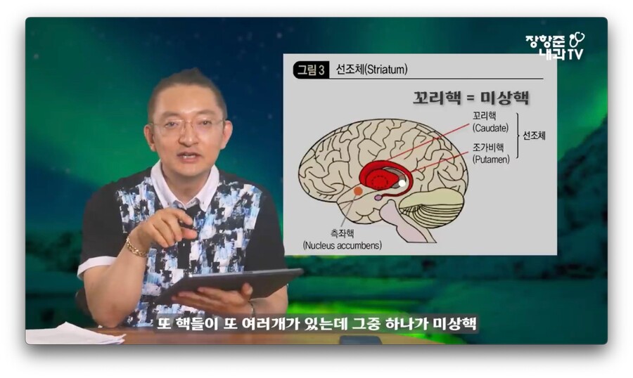 야동 시청시간에 비례해서 뇌가 쪼그라든다는 연구 결과.jpg_3.jpeg