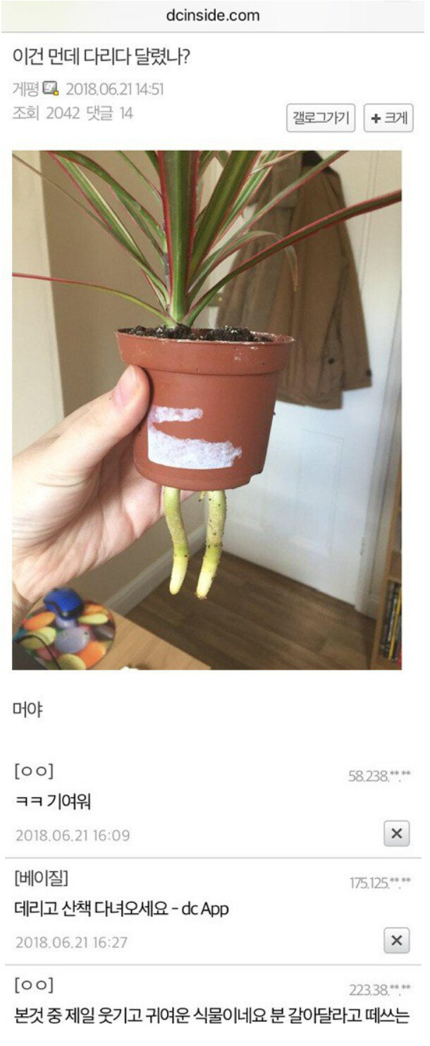 이건 뭔데 다리가 달렸냐_1.png