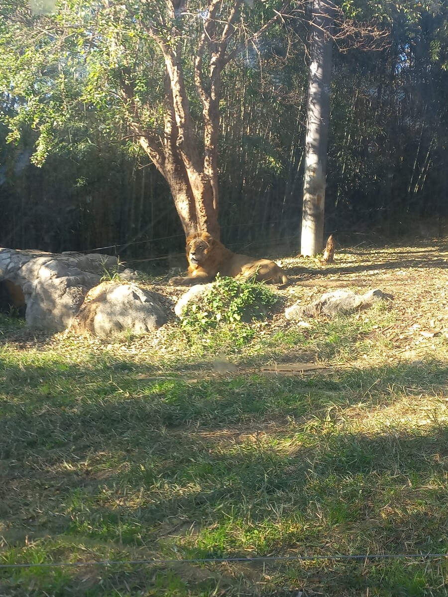 다들! 주토피아 좋아해?_2.jpg