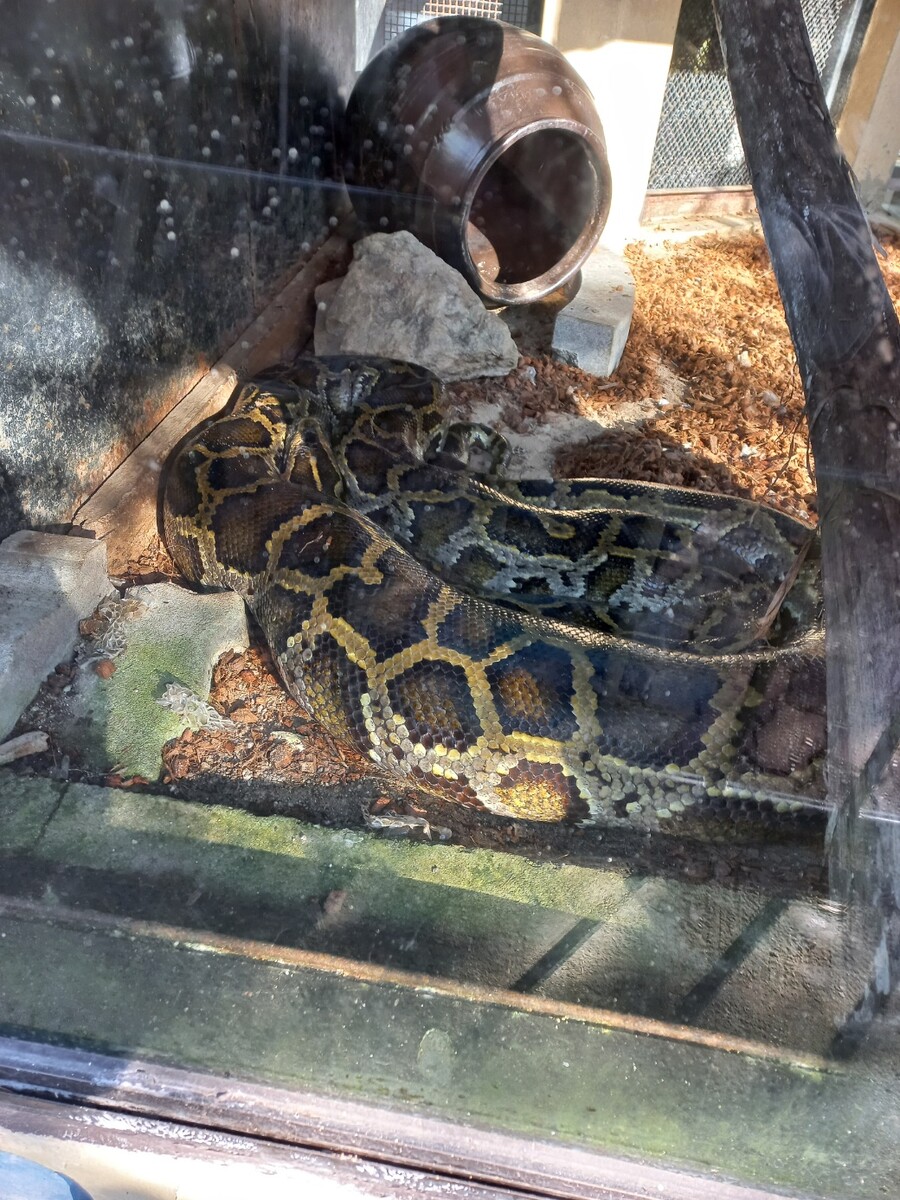 다들! 주토피아 좋아해?_4.jpg