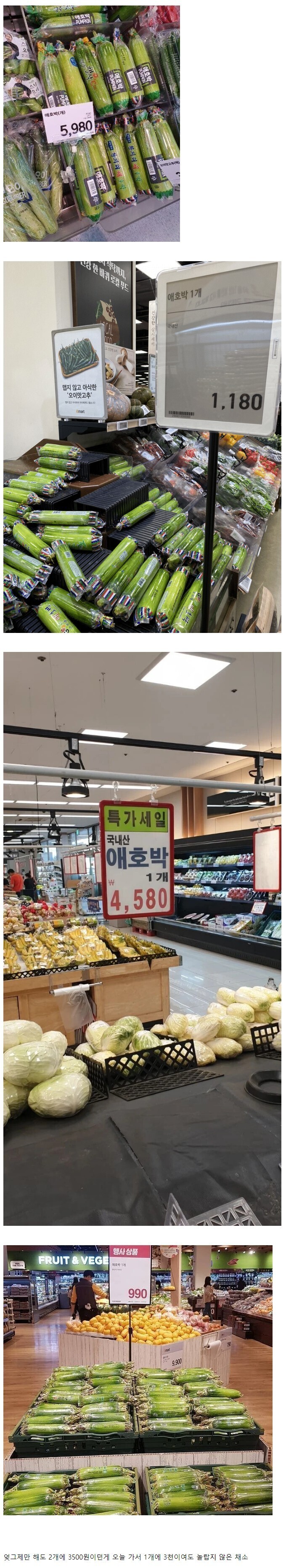 채소계의 비트코인