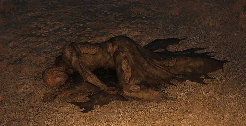 라니는.. 화방녀다.._1.png