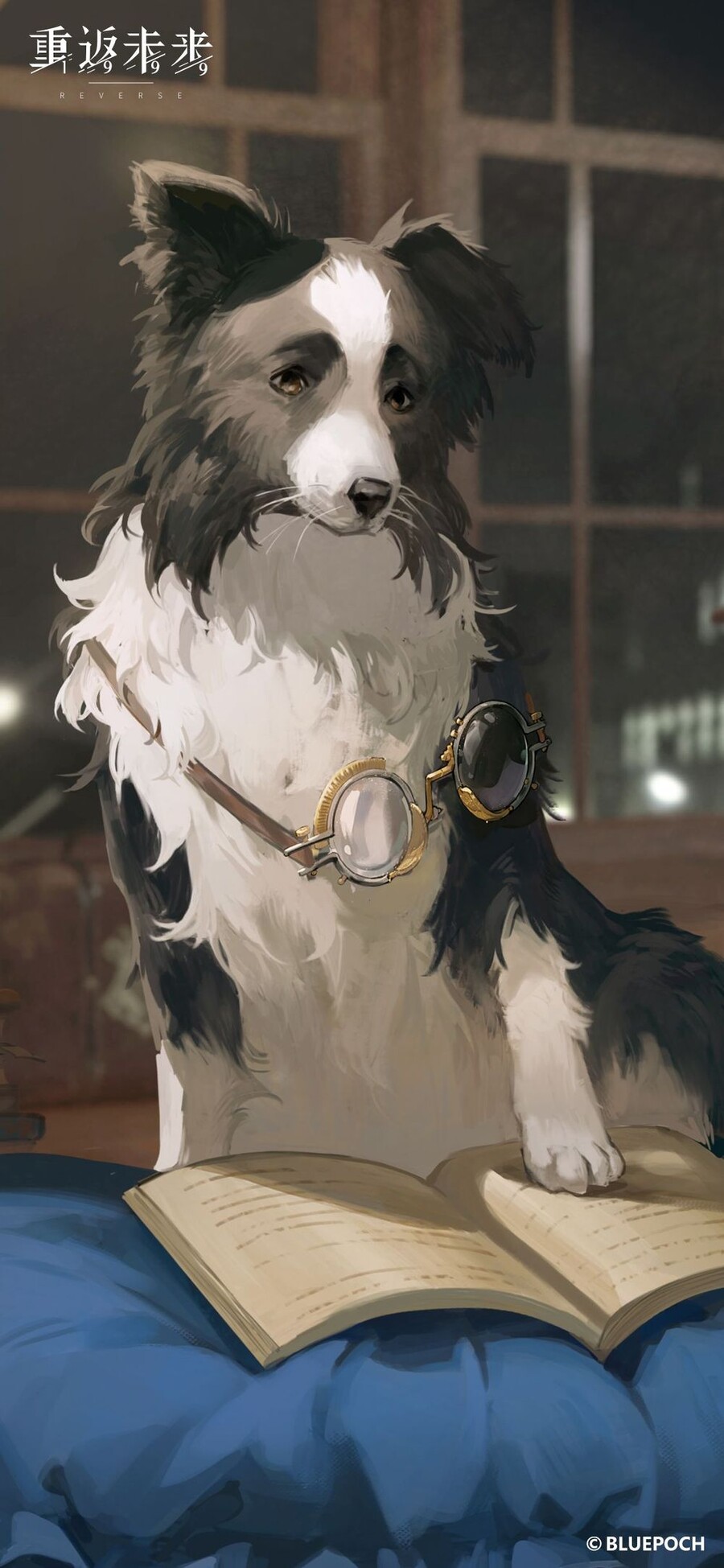 엥간한 인간보다 똑똑한 강아지의 태생적 한계_1.jpeg