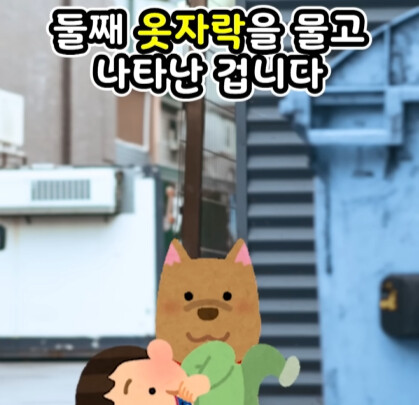 셋째 아들이 된 강아지.jpg_18.jpg