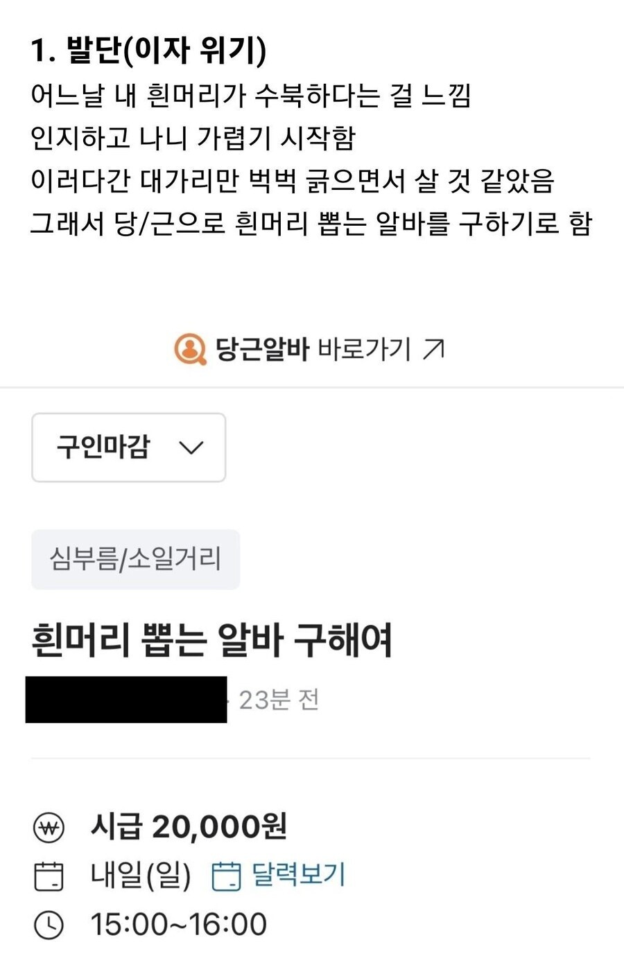 흰머리 뽑는 알바 채용 후기_1.jpg