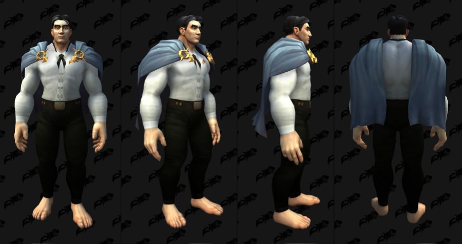 와우 용군단 10.2.5 어깨 위 망토 및 나비날개 망토 외형 추가_12.jpg