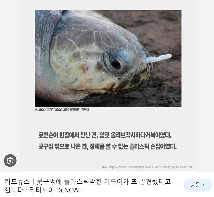 전세계 종이빨대 보급 공로자 1위_2.png