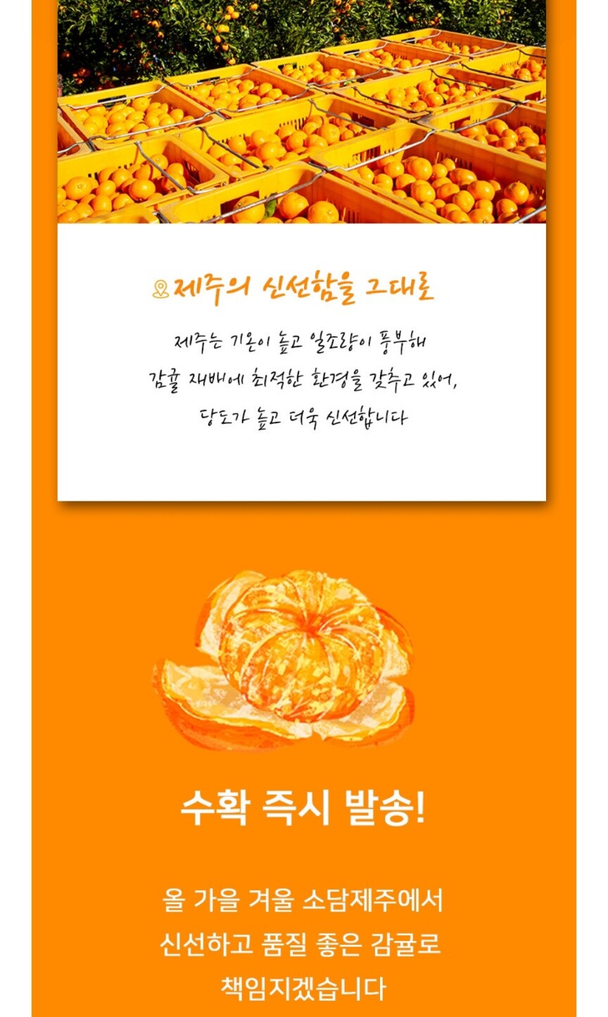 [네이버] 제주 귤 5kg 농장 산지직송 (7,900/무료)_2.jpg