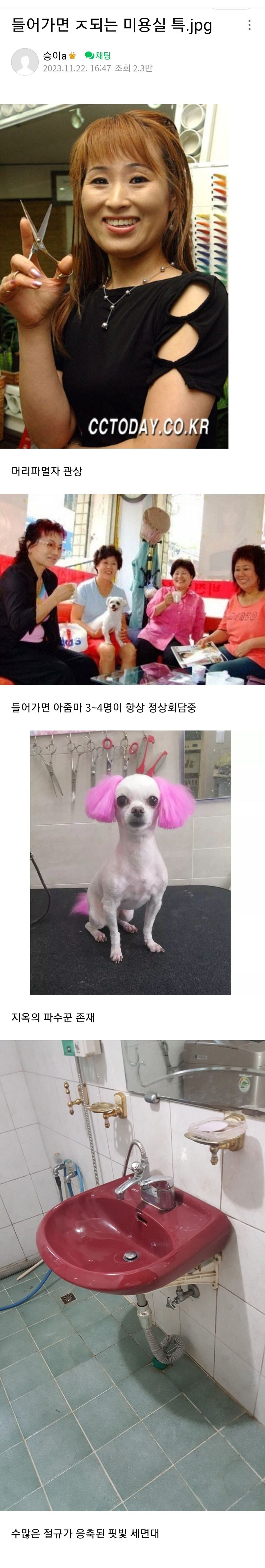 들어가면 ㅈ되는 미용실 특징_1.jpg