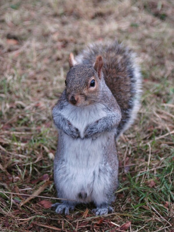 현재 논란되고있는 페미,롤. 정보종합 자료(추가중)_13.jpg