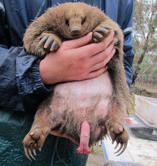 현재 논란되고있는 페미,롤. 정보종합 자료(추가중)_16.jpg