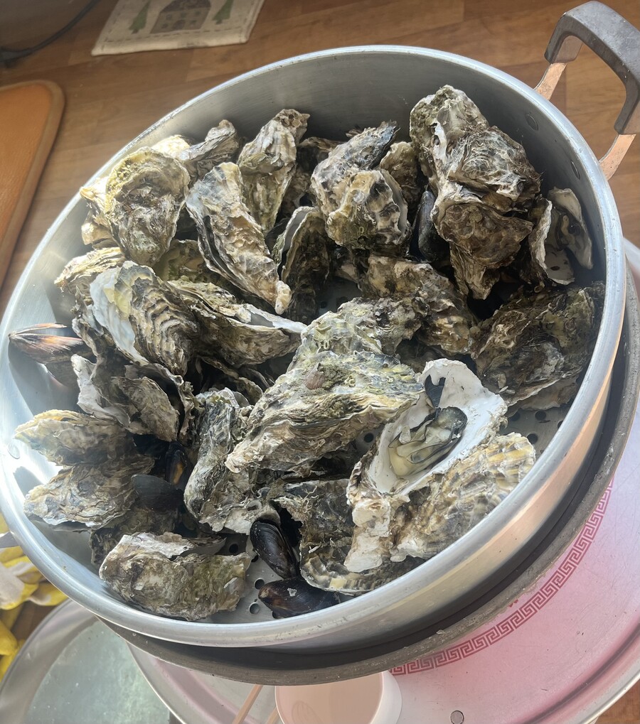 김장하기전 먹은 수육_2.jpg