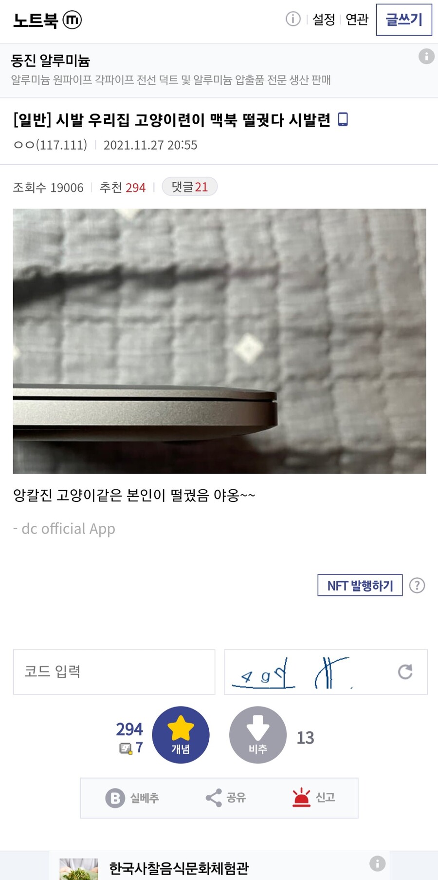 고양이가 맥북 떨어뜨림.jpg_1.jpg