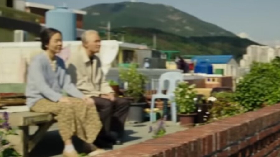 솔직히 국제시장은 포레스트 검프 짭이 맞긴함_2.jpg