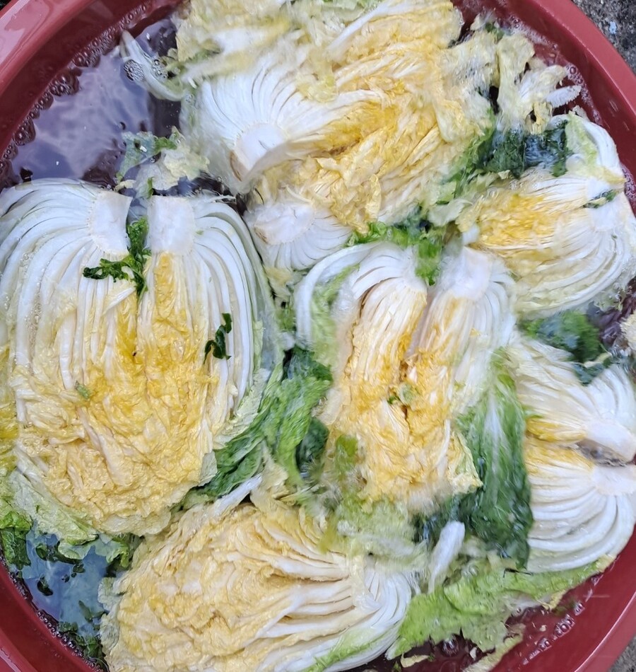 (스압)나 너무 많은 일이 잇엇어 힘들다 진짜(김장)_4.jpg