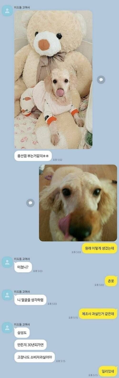 강아지만 이뻐하는 엄마와의 카톡.jpg_1.jpg