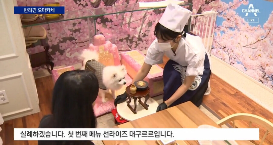 (오마카세) 오마카세 요즘 근황.JPG_1.png