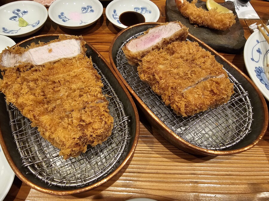 일식돈까스 진심 존맛이네 | 유머 게시판 일식돈까스 진심 존맛이네 | 유머 게시판 | 루리웹