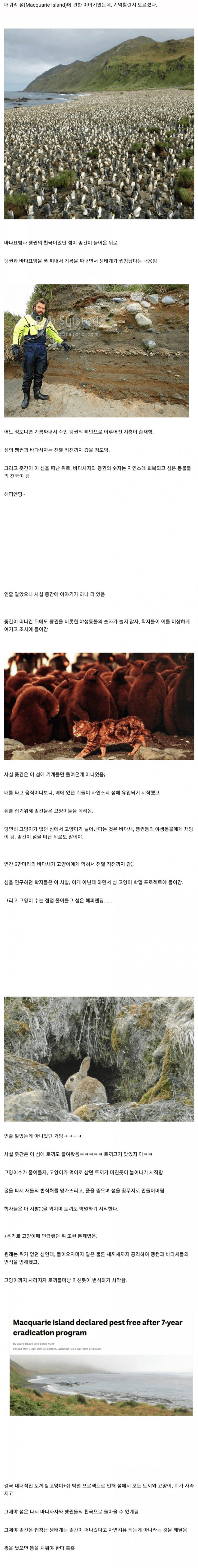 생태계를 곱창 냈으면 복구하십쇼 인간