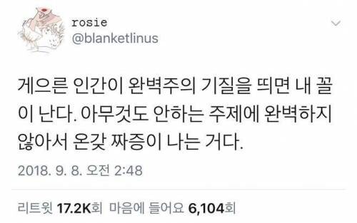 게으른 인간이 완벽주의 기질을 띄면 생기는 일_1.jpg