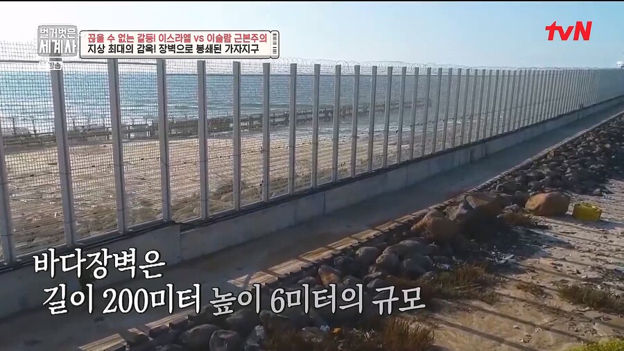 전쟁) 이스라엘과 팔레 전쟁은.. 진짜 평화협상만이 답이긴하네_7.jpg