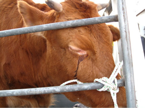 니들이 살아 숨 쉬는거 자체가 죄악인 이유_3.jpg