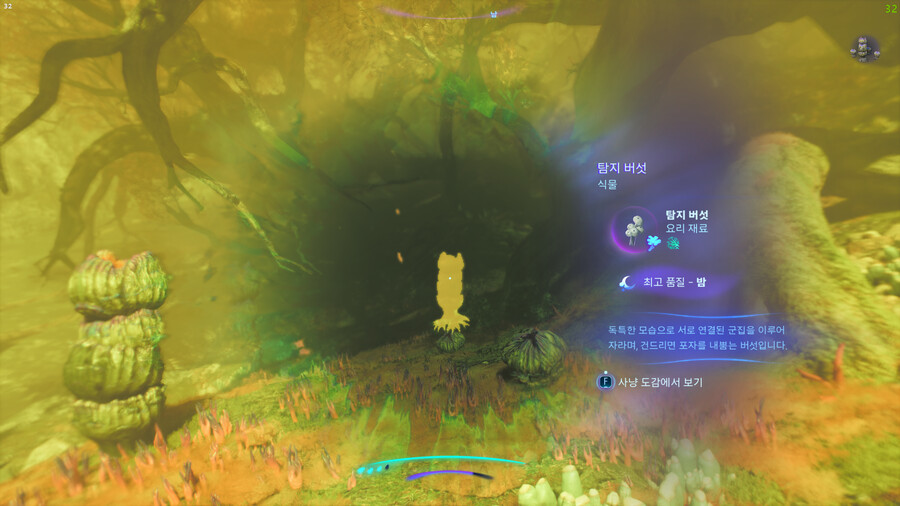 [공략/팁] 희귀한 탐지버섯 채집 위치_5.png