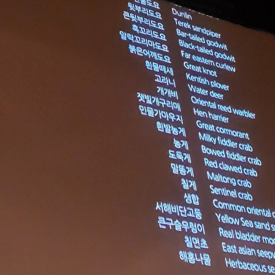 어느 갯벌 다큐멘터리의 특이한 엔딩 크레딧