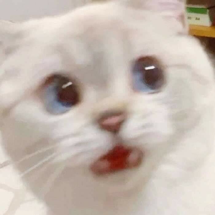 또 똥짤 난리라길래 평소의 유게인줄알았죠_1.jpg