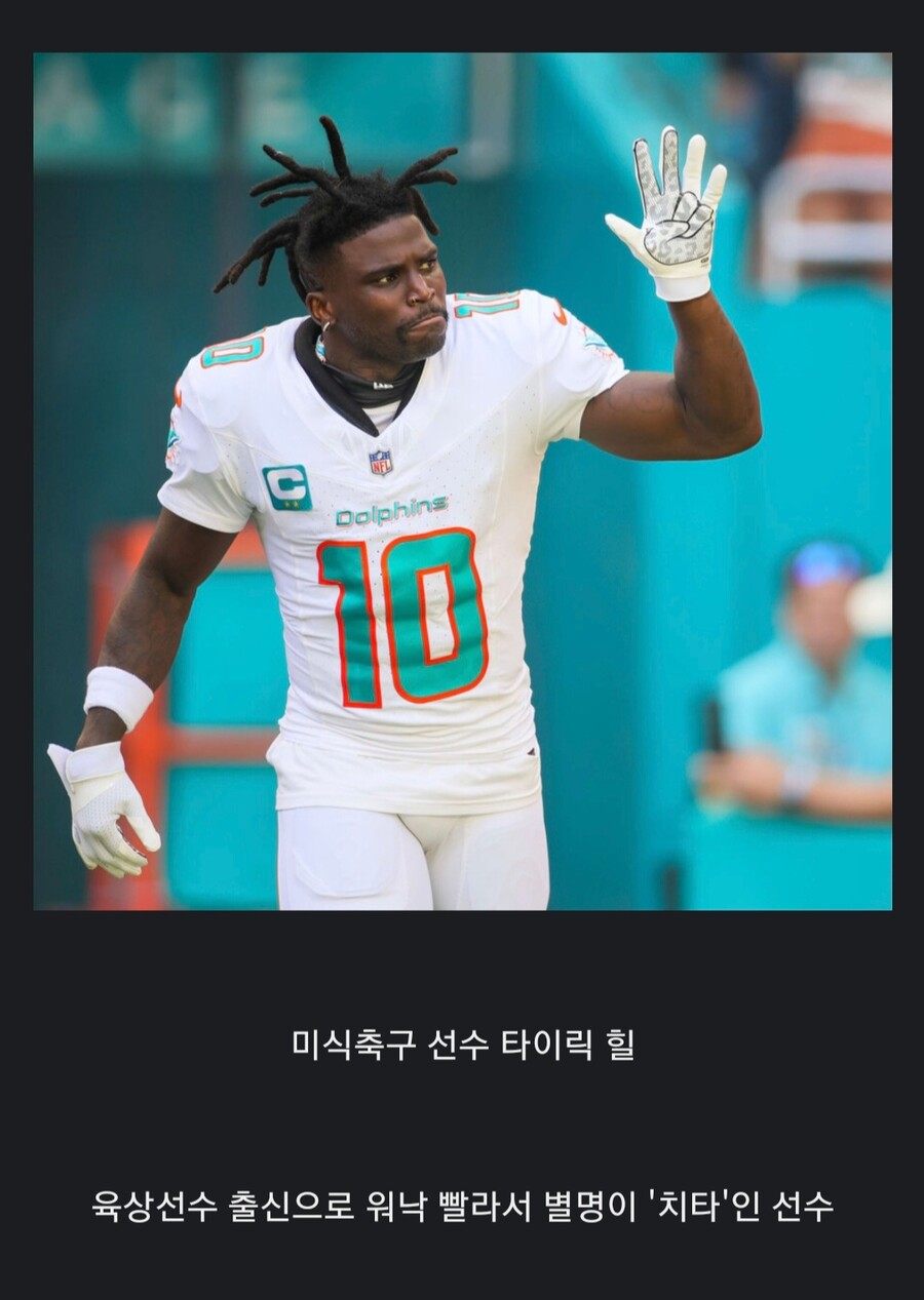 속도위반? 이거 완전.....블루 마운틴 스테이트_1.jpg