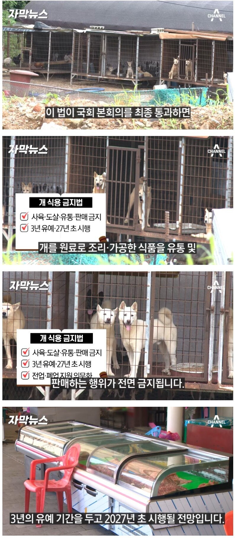 (개고기)근데 글올라오는게 너무 뻔히 보이지 않냐?_1.jpg