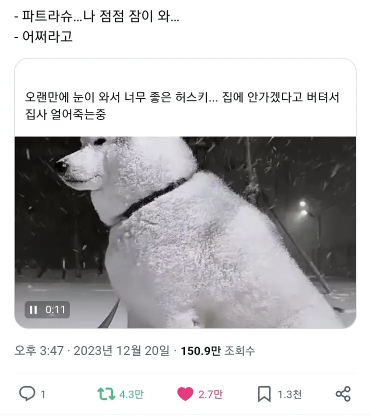 파트라슈...나 점점 잠이 와...jpg_1.webp