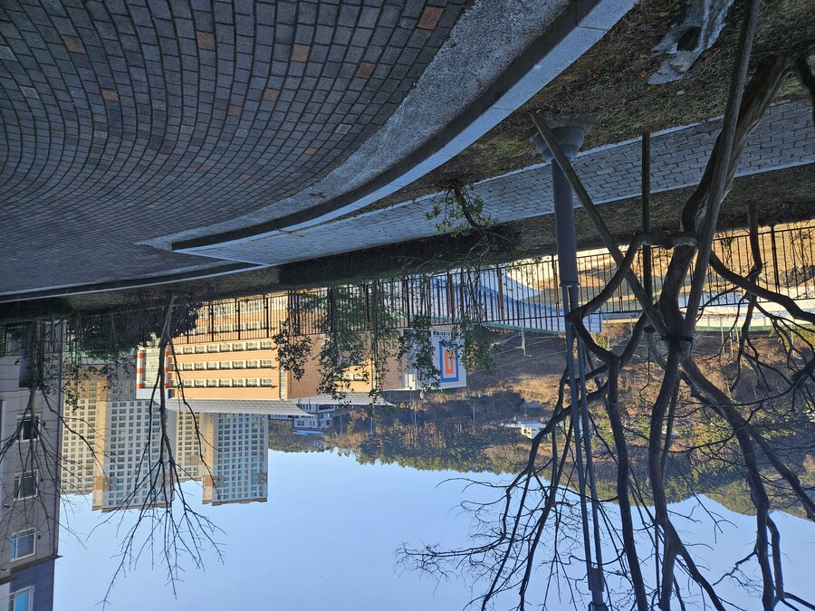 장문주의) 전세집 보고왔는데 결정장애 도움!!!_3.jpg