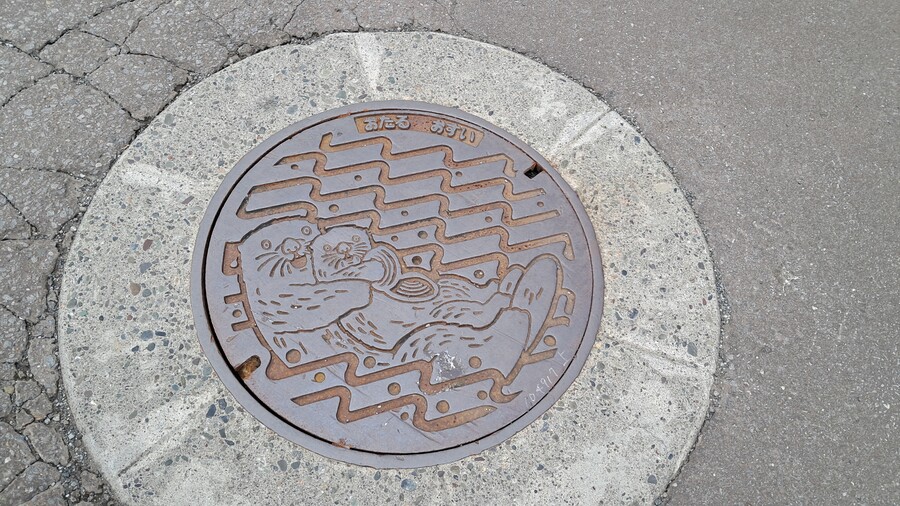 첫 가족 해외여행 4박 5일 홋카이도 2부 (스압, 동영상 주의)_2.jpg