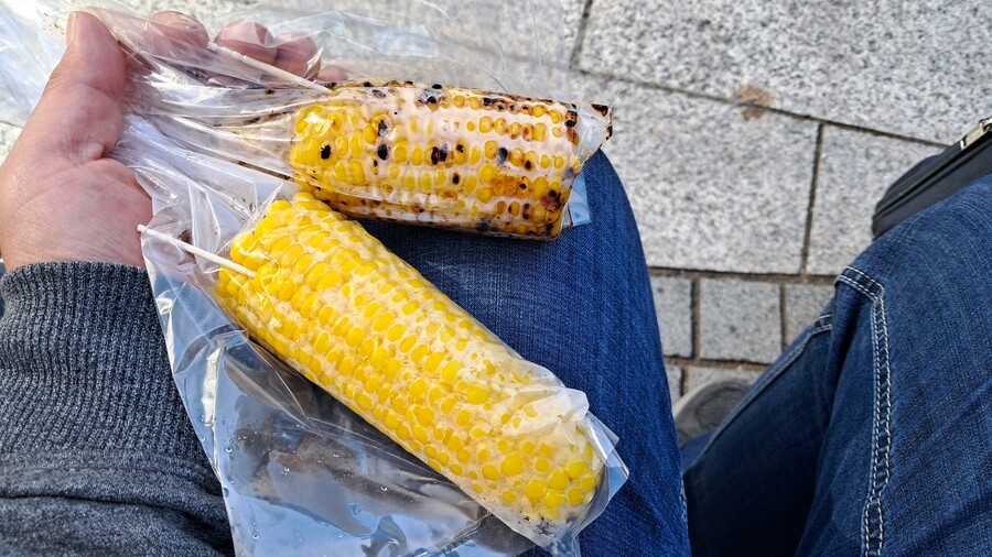 첫 가족 해외여행 4박 5일 홋카이도 2부 (스압, 동영상 주의)_54.jpg