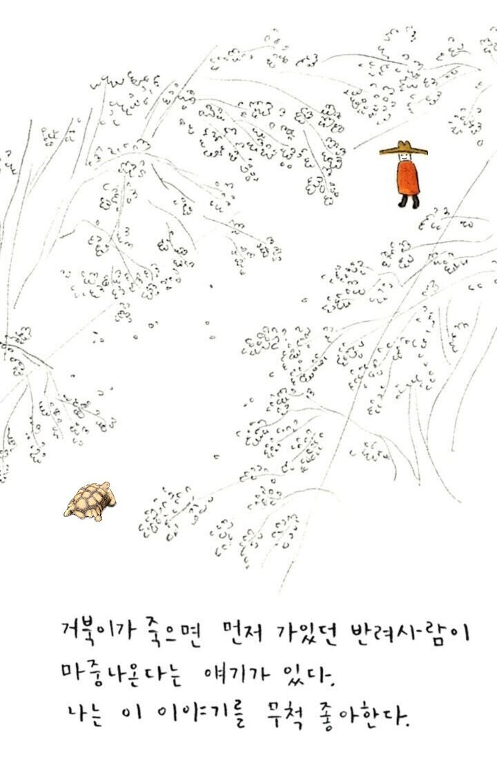 단골 식당에 거북이 등장.JPG_2.jpg