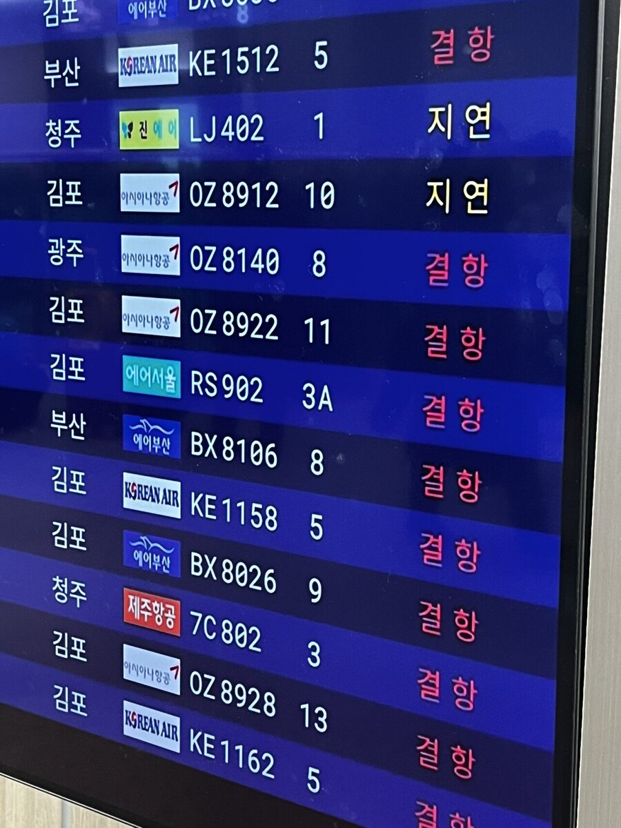 실시간 난리난 제주공항 실제 광경 ㄷㄷㄷㄷ.GIF_1.jpg