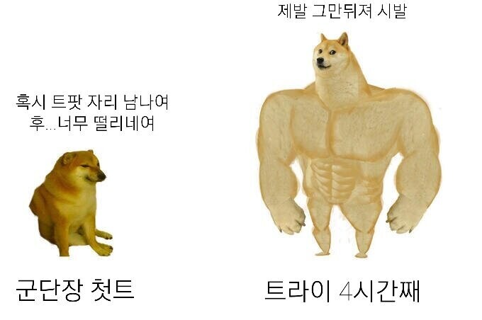로아) 군단장 트라이팟 요약.JPG_2.jpg